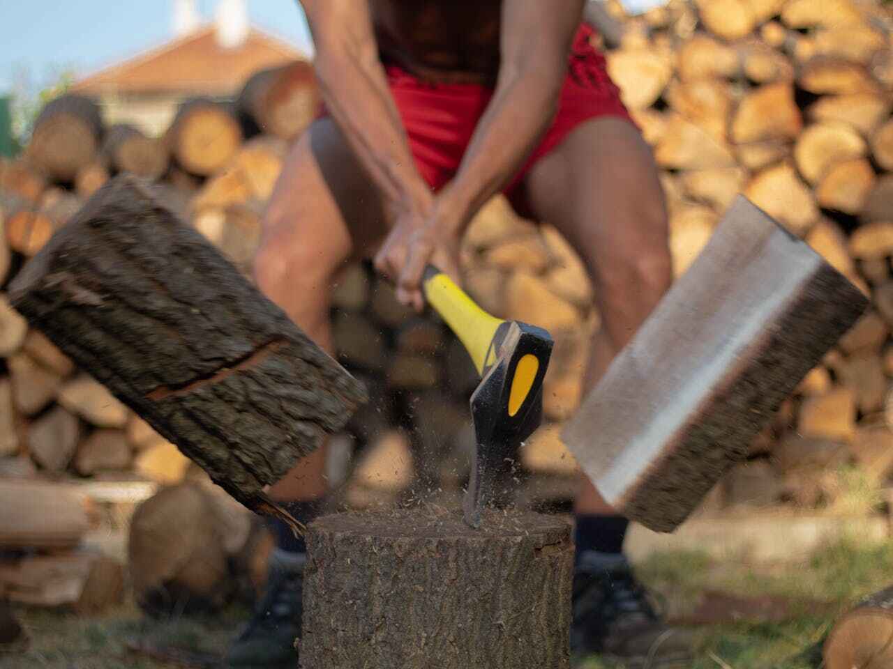 Tree Branch Trimming